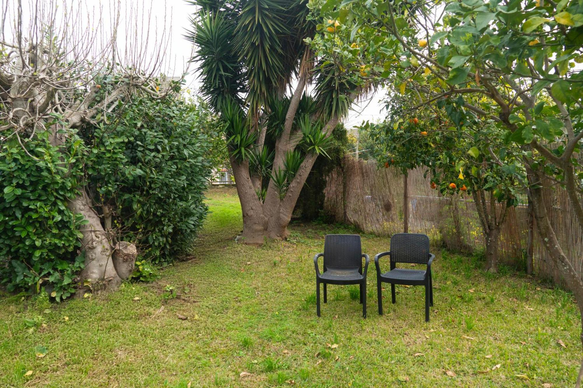 La Terrazza Sul Giardino Apartment Procida Luaran gambar
